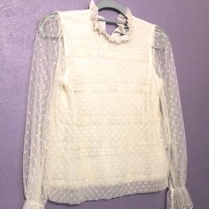 Express Sheer Polka Dot Top